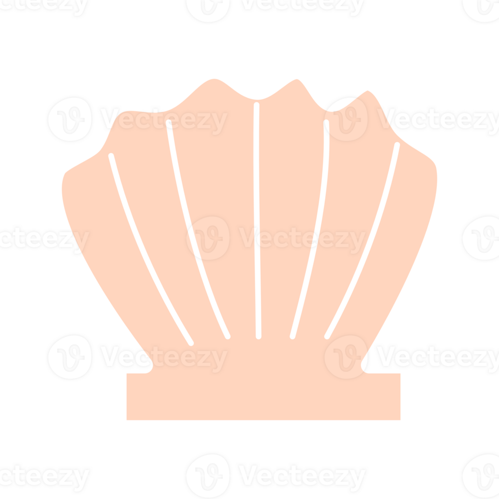 a shell icon on a transparent background png