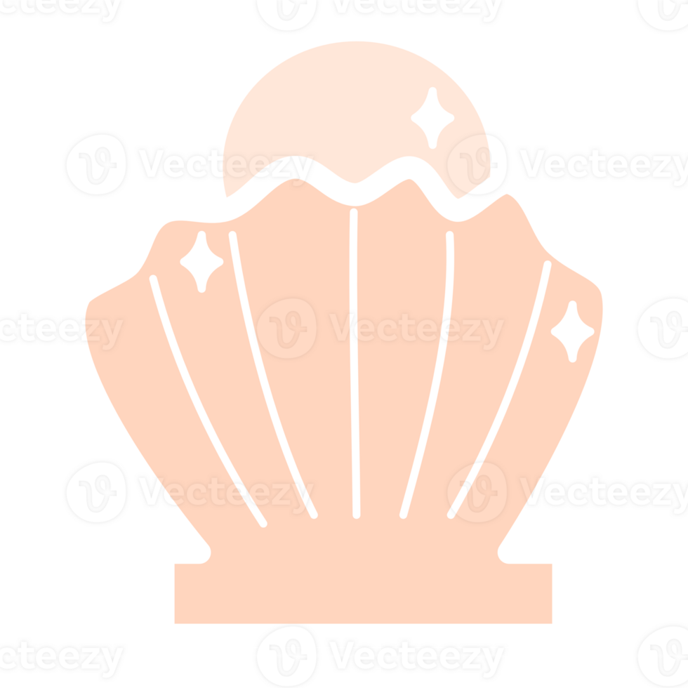 a shell with a star on it, on a transparent background png
