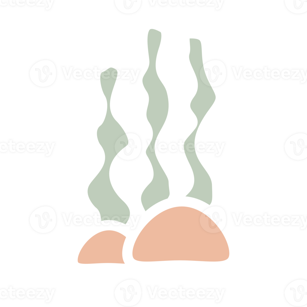 an illustration of a coral reef on a transparent background png