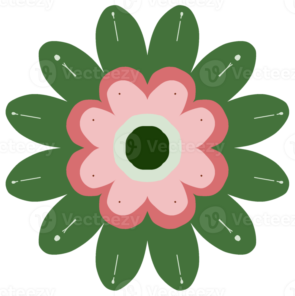 A pink and green flower with a center png