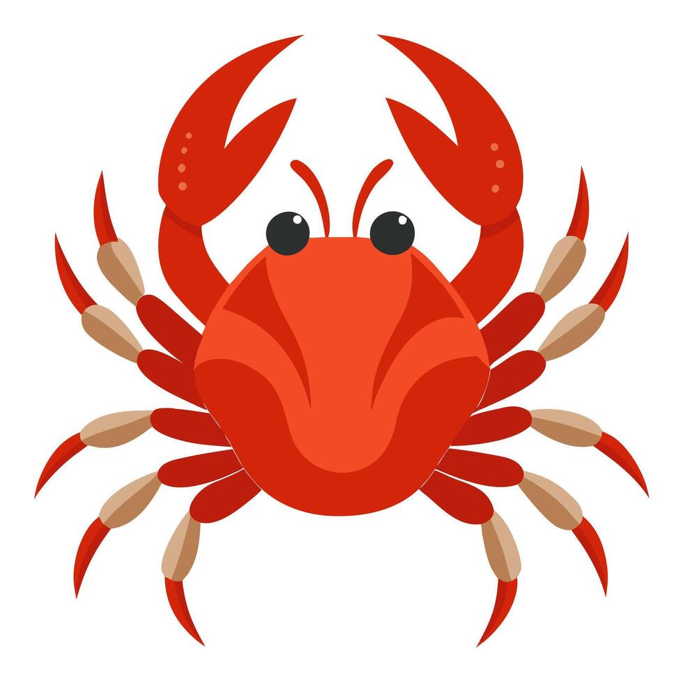 Cute cartoon crab, seafood character. vector