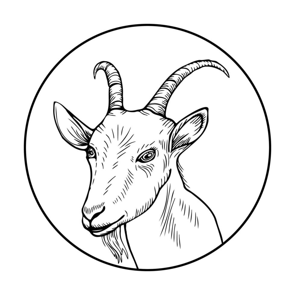 Black and white portrait of goat animal in circle, hand drawn in cartoon style. vector