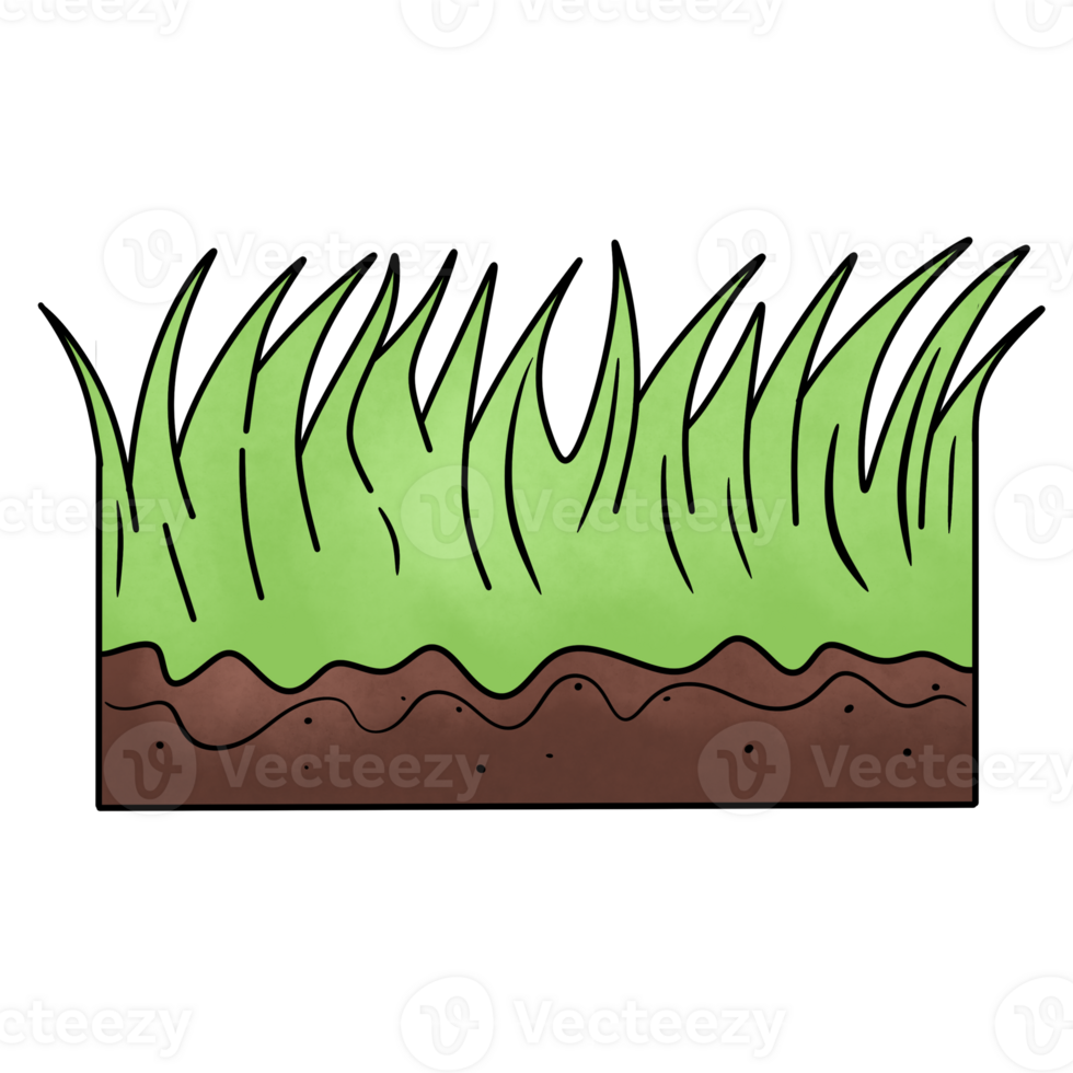 Soil layers Humus png