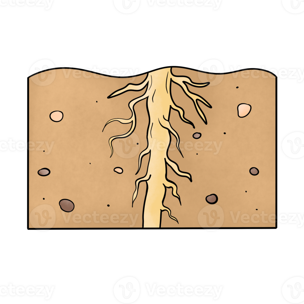 Soil layers Topsoil png