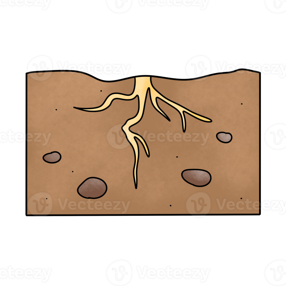 Soil layers Subsoil png