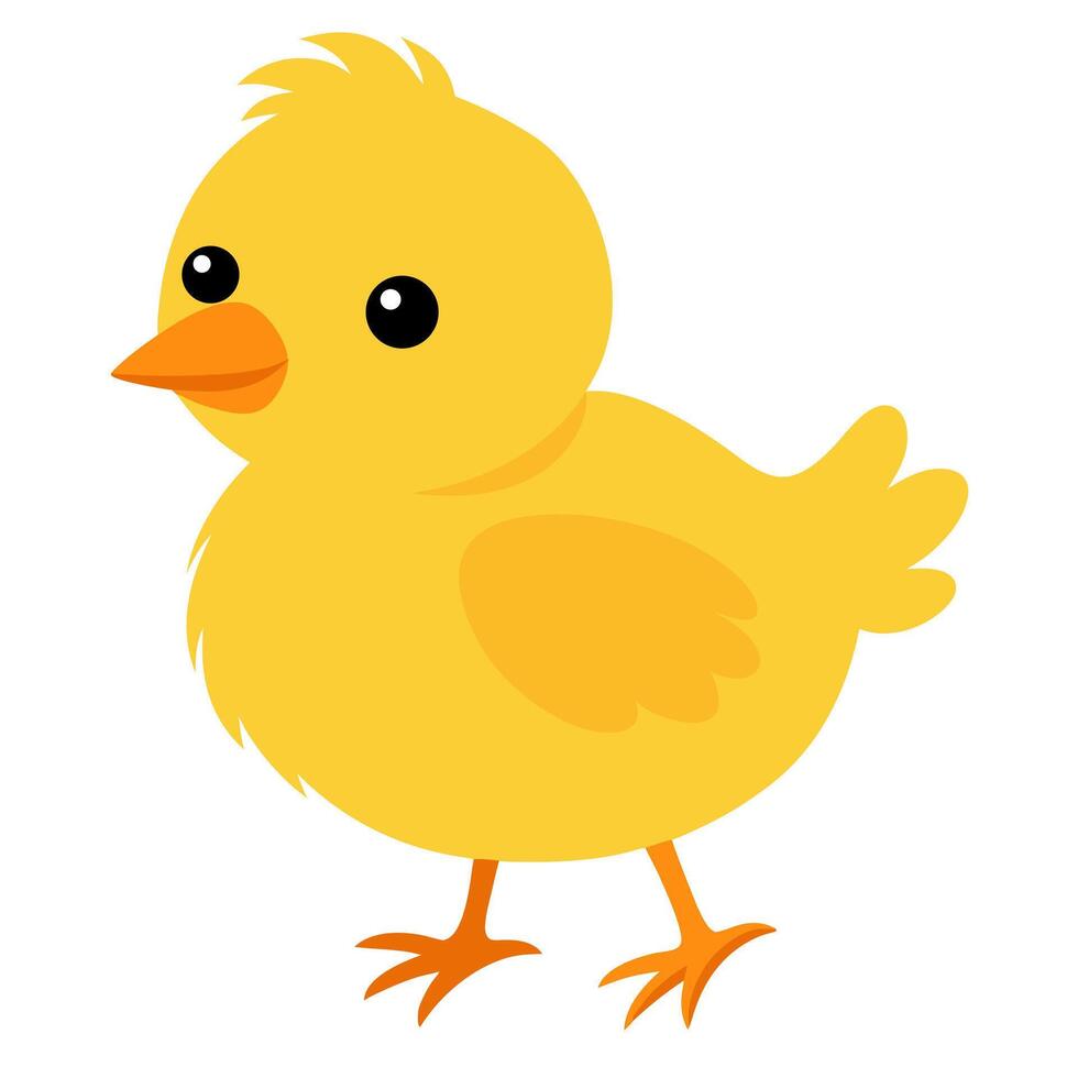 Cartoon yellow chick. Isolated illustration on a white background vector