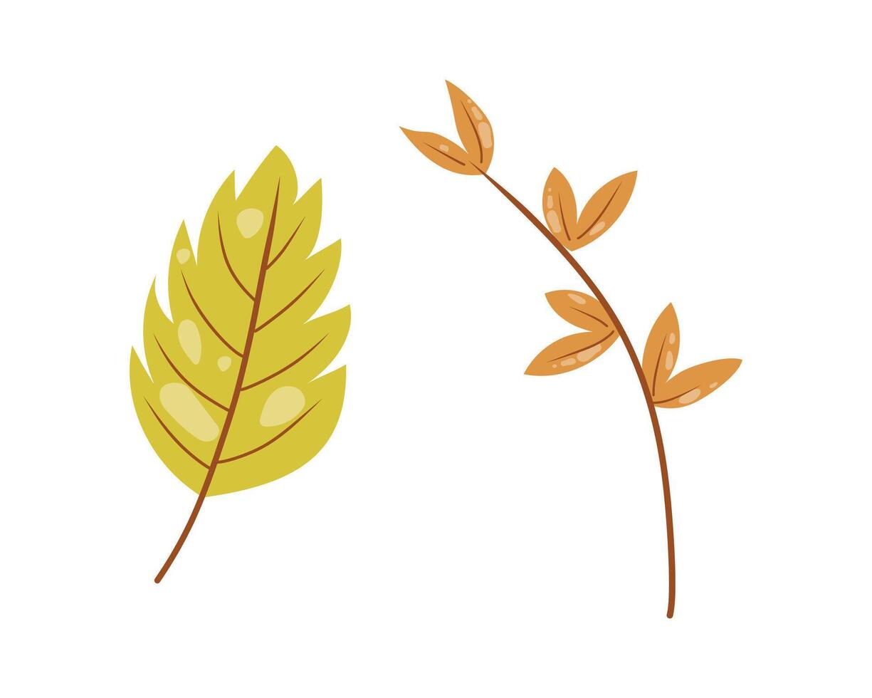two autumn leaves on white background, collection of foliage vector
