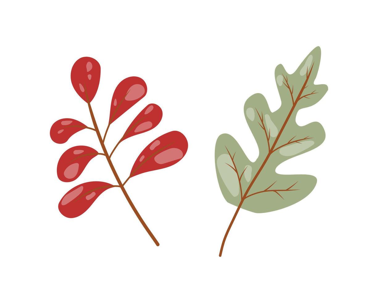utumn leaves on white background, collection of foliage vector