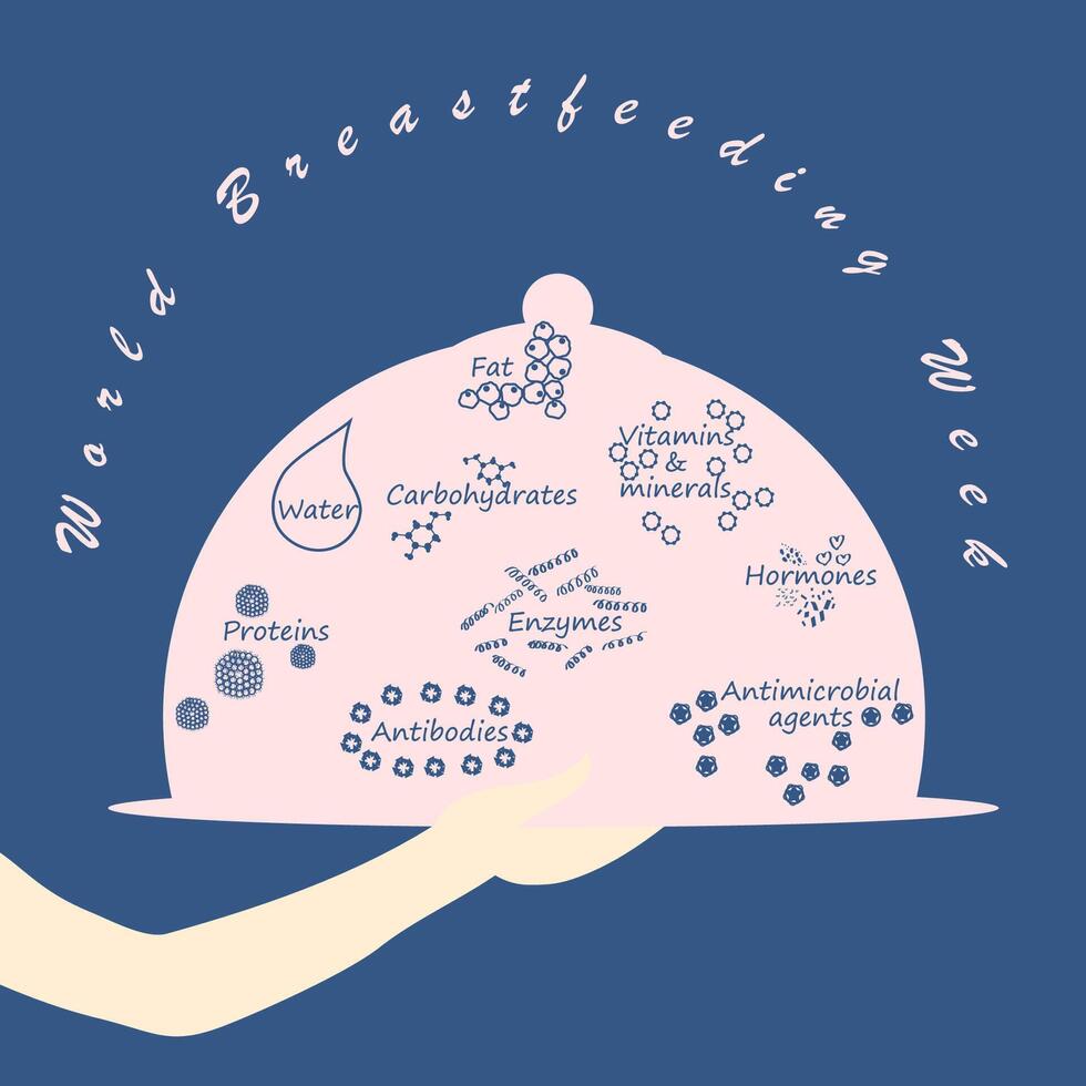 world breastfeeding week celebrate at august 1-7 every year vector