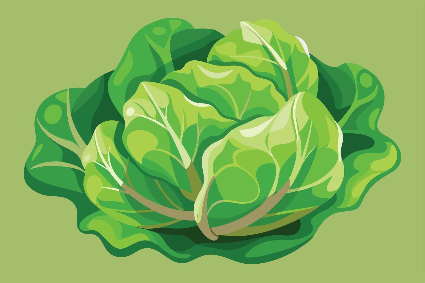 Lush Green Lettuce Head Vibrant, Fresh, and Ready-to-Eat Organic Salad Leaves against a Soft Green Background vector