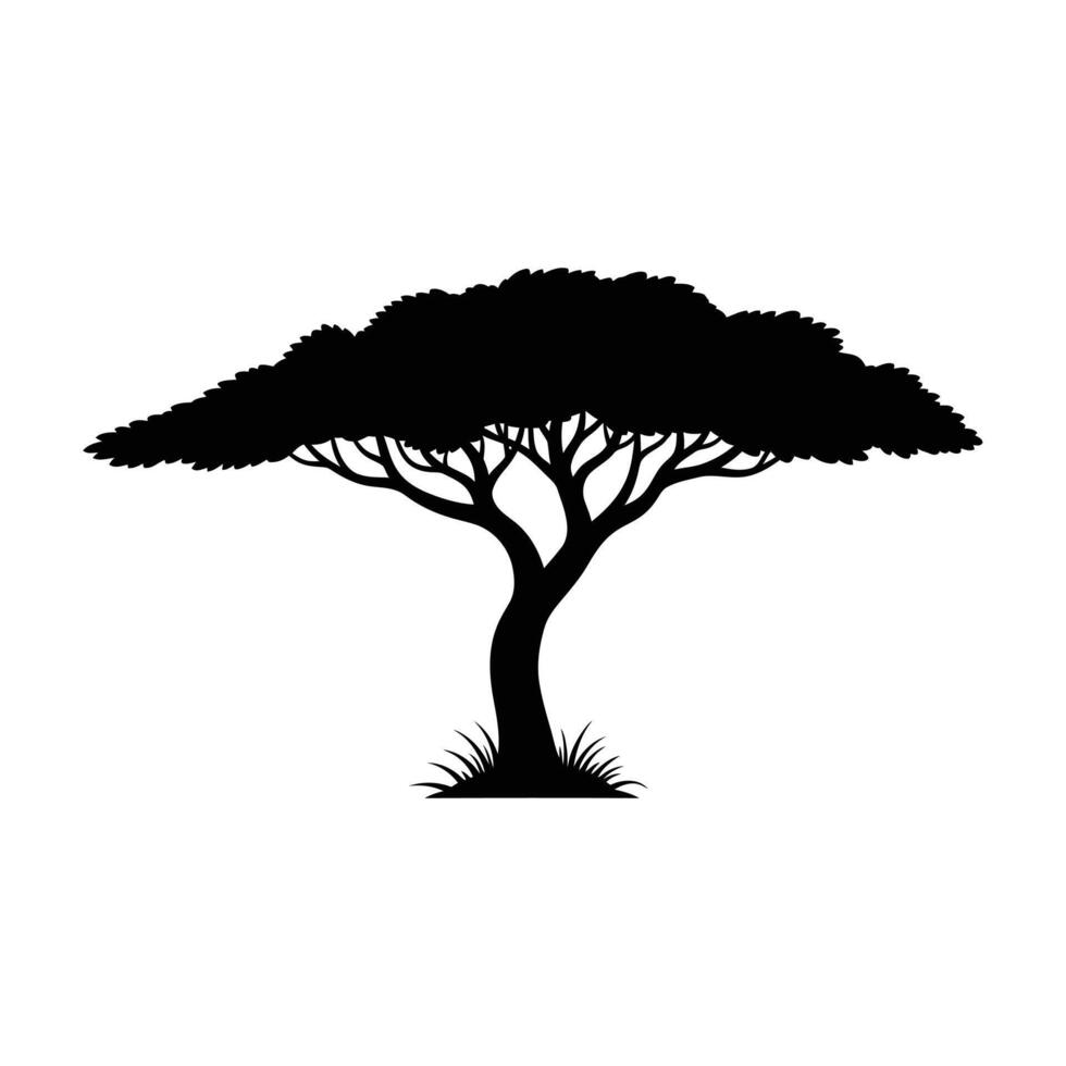A striking silhouette of an acacia tree its distinctive umbrella-shaped canopy and gnarled trunk isolated against a white background. vector