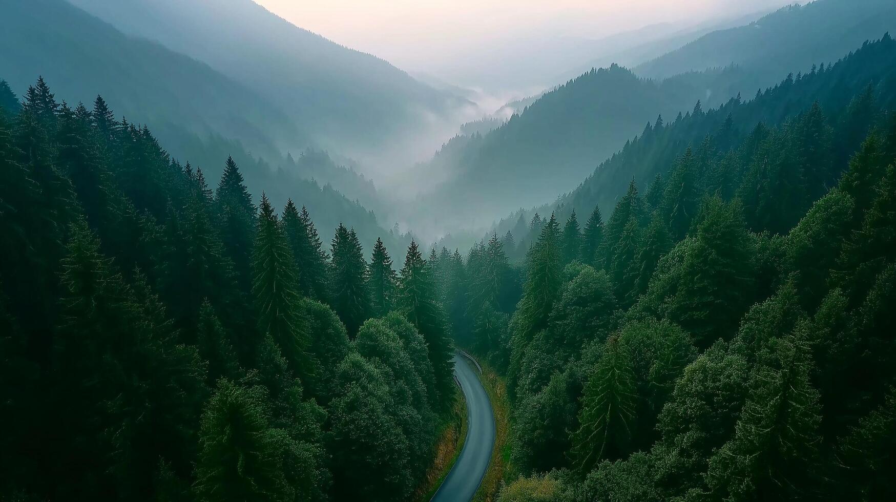 A road winding through the mountains with trees photo