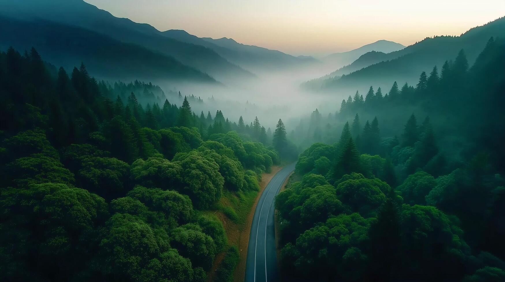 A road in the middle of a forest with trees and fog photo