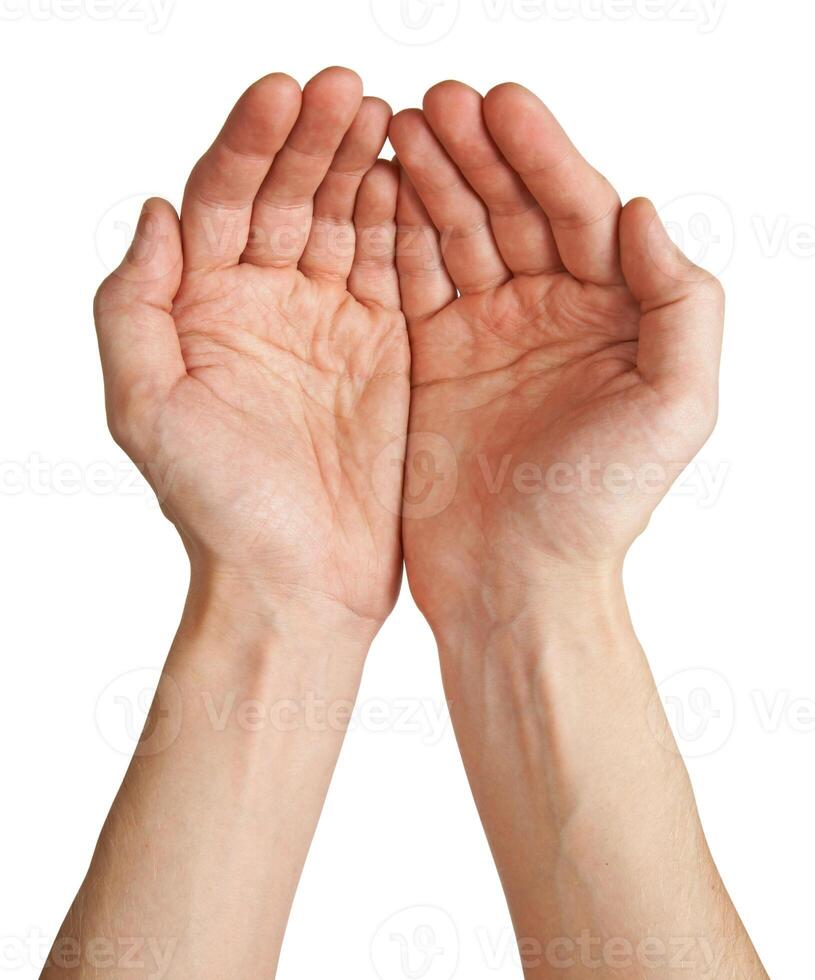 Empty hands on a white photo