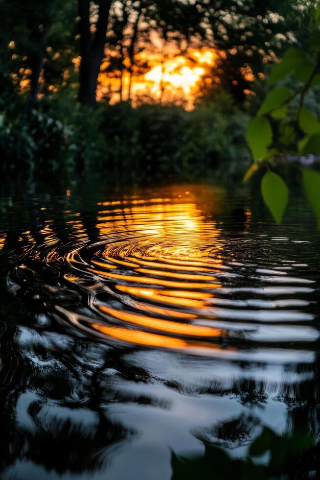 Sunset Reflecting on Calm Water With Ripples in a Serene Natural Setting Near Trees. photo