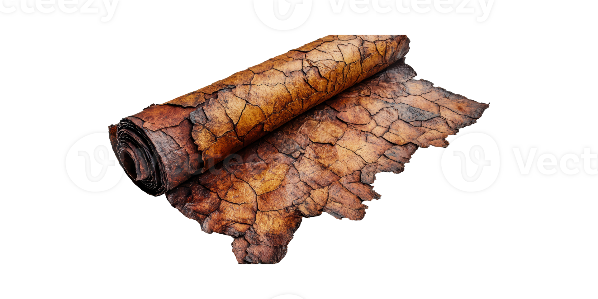 Rolled Tobacco Leaf. Natural Material For Cigars And Smoking Products Isolated On Transparent Background png