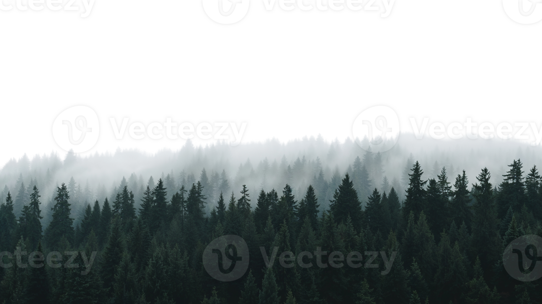 Foggy evergreen forest edge silhouette on a transparent isolated digital backdrop, ideal for png