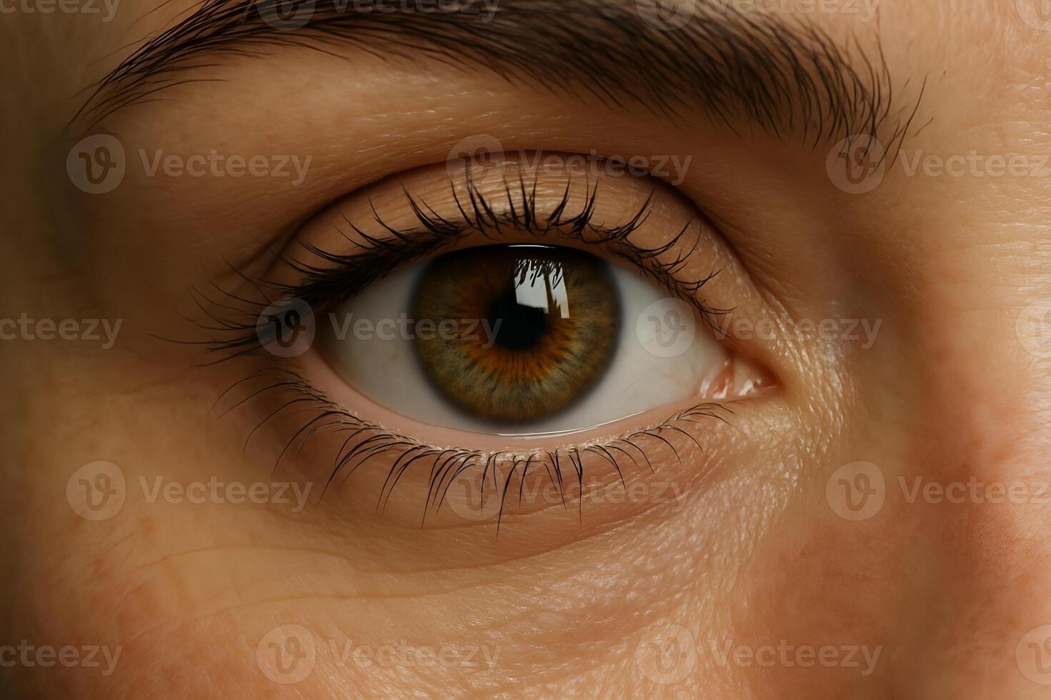 A close up of a woman's eye with brown eyes photo