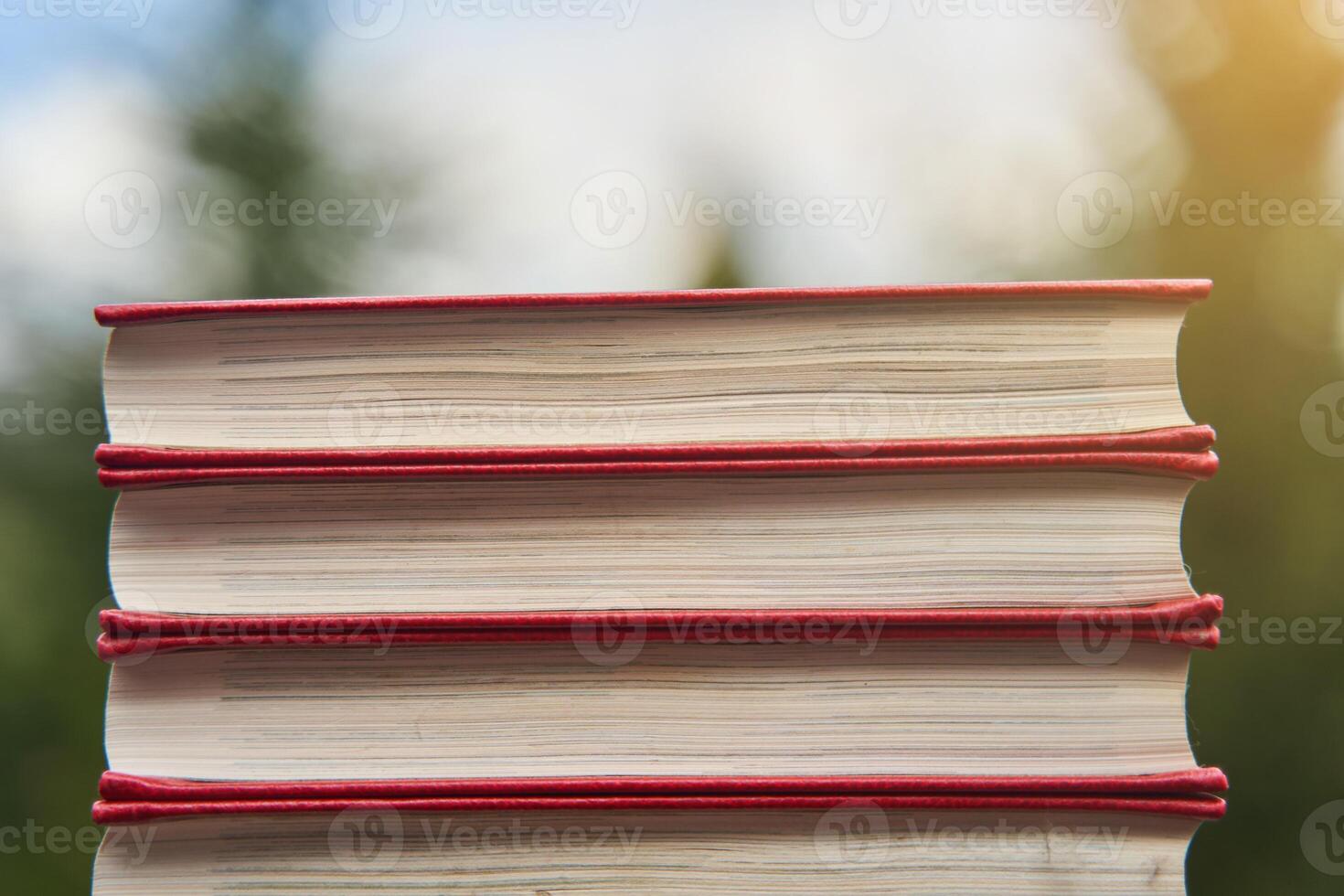 Collection of different books on blurred green background, space for text photo