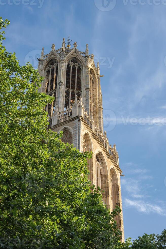 The Dom Tower in Utrecht, Netherlands rises against a clear blue sky, framed by green trees. Gothic details and spires are highlighted in sunlight. photo