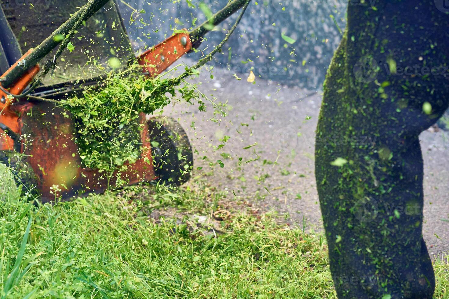 Landscaping.Summer grass cutting with handle lawn mower photo