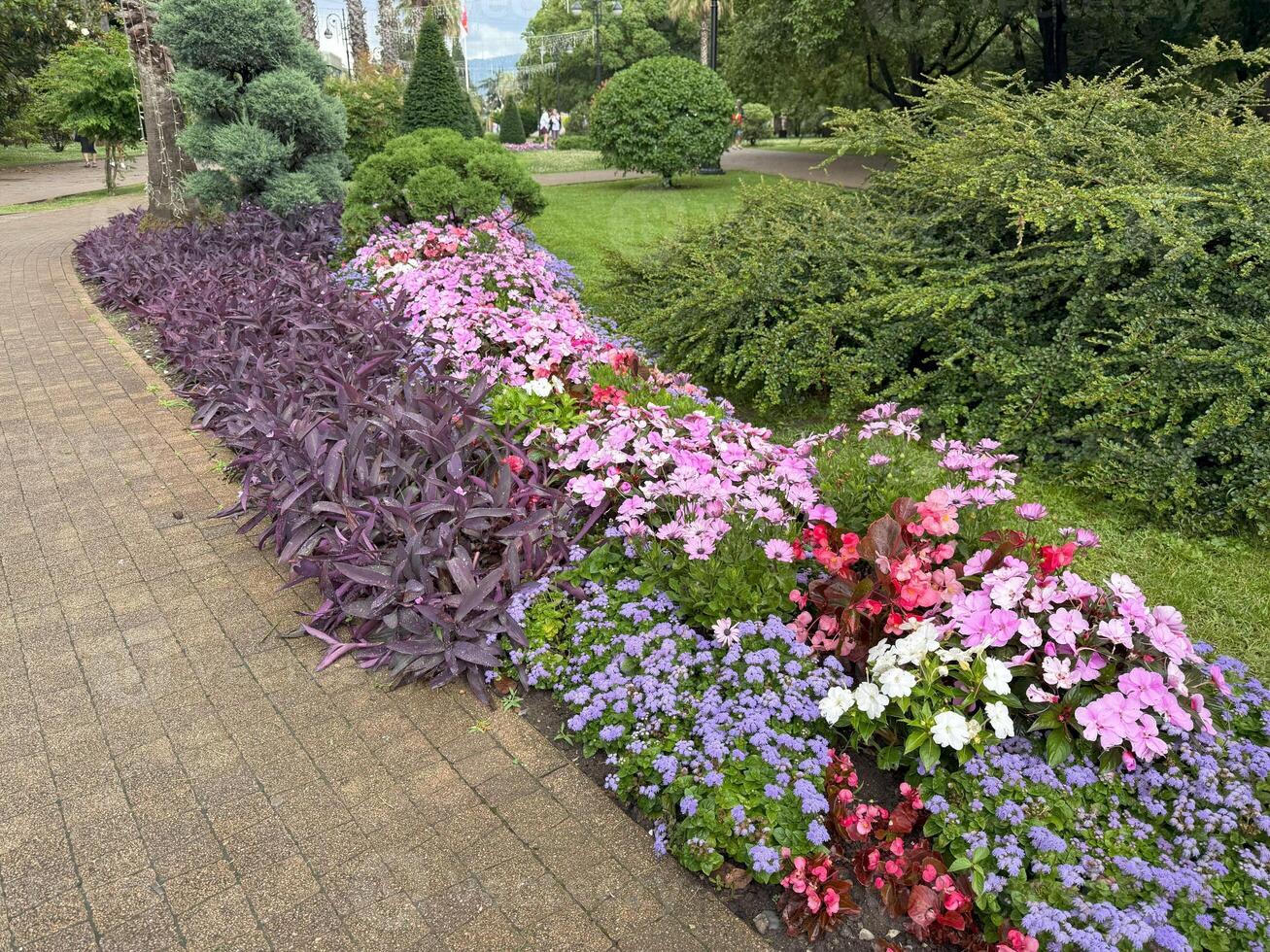 Beautiful flowerbed with various colorful flowers blooming near paved walkway in a well maintained park during summer, creating vibrant and inviting atmosphere photo