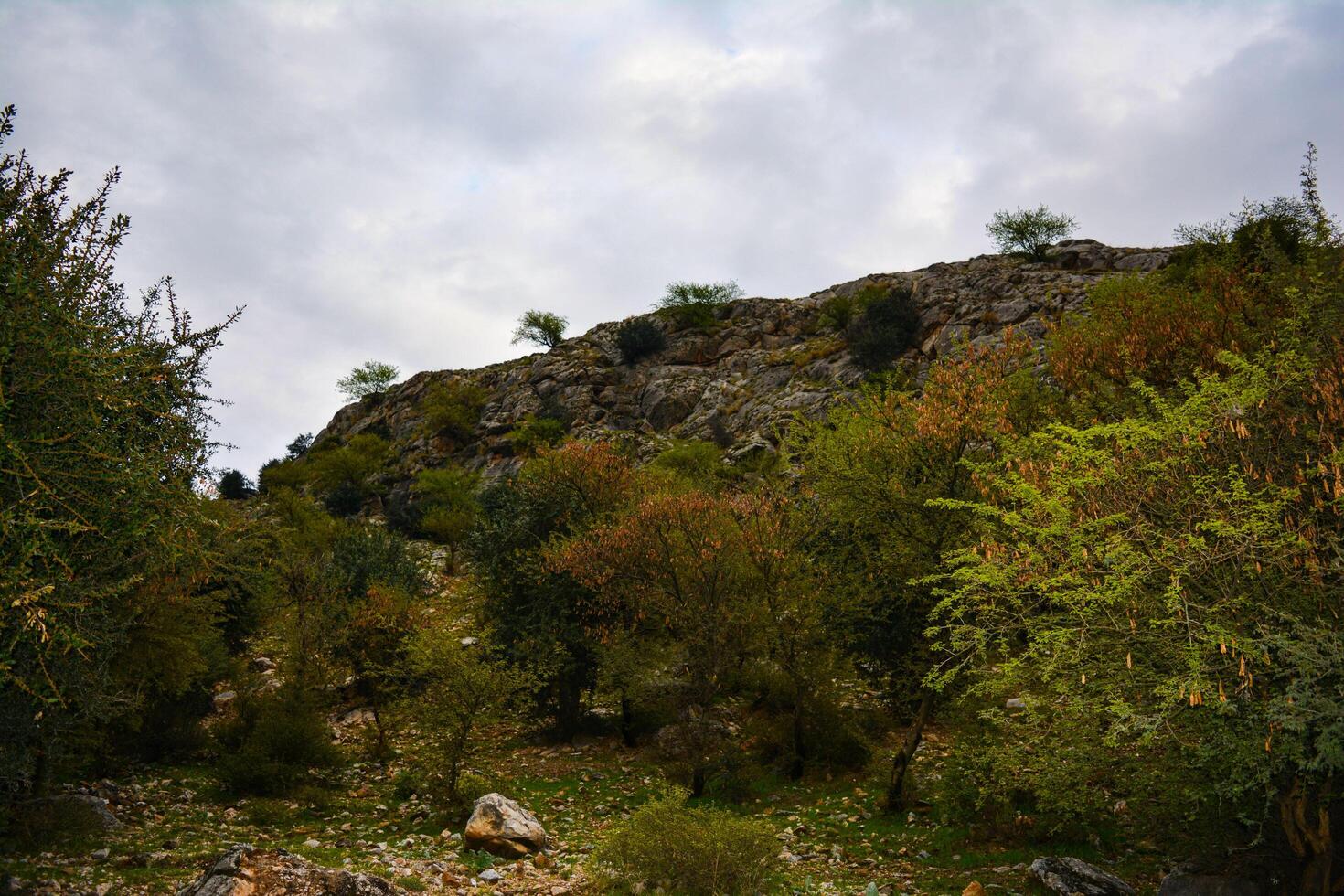 A large rock wall photo