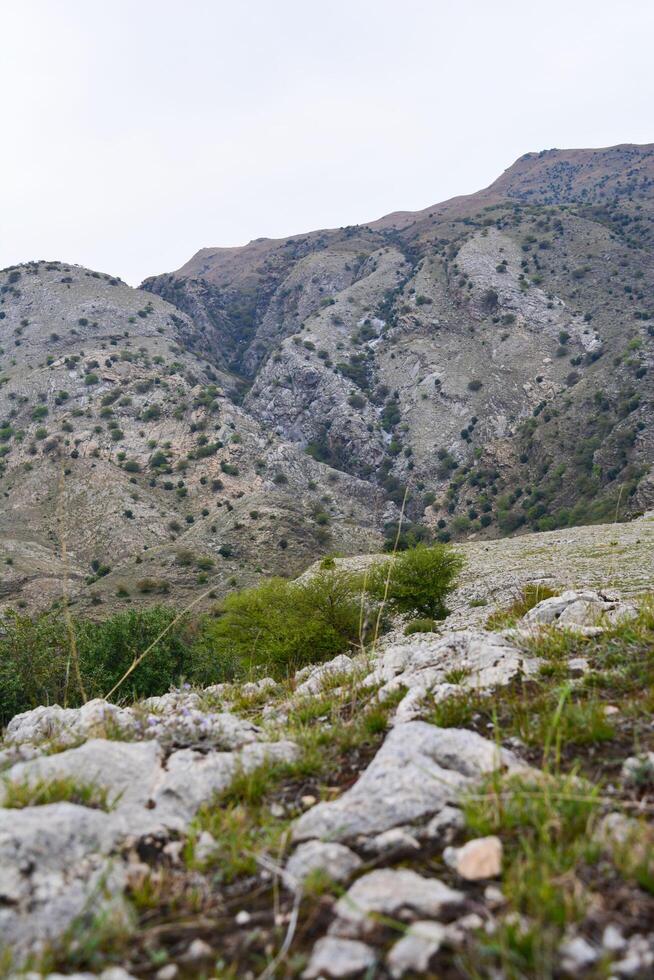 A man standing on a hill with a backpack photo