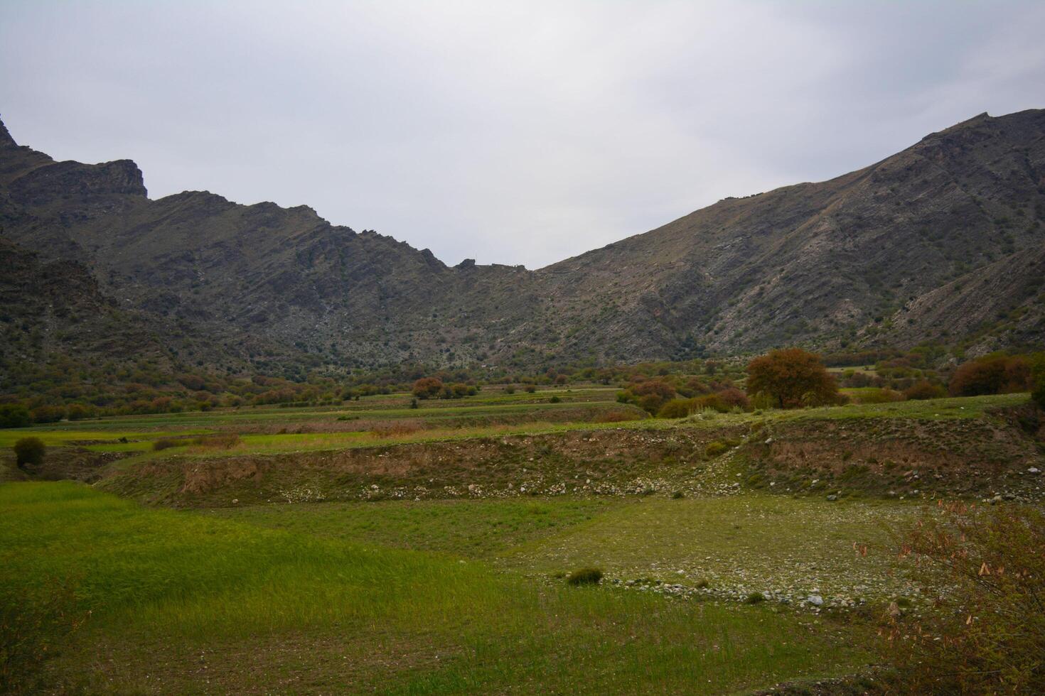 A grassy field photo