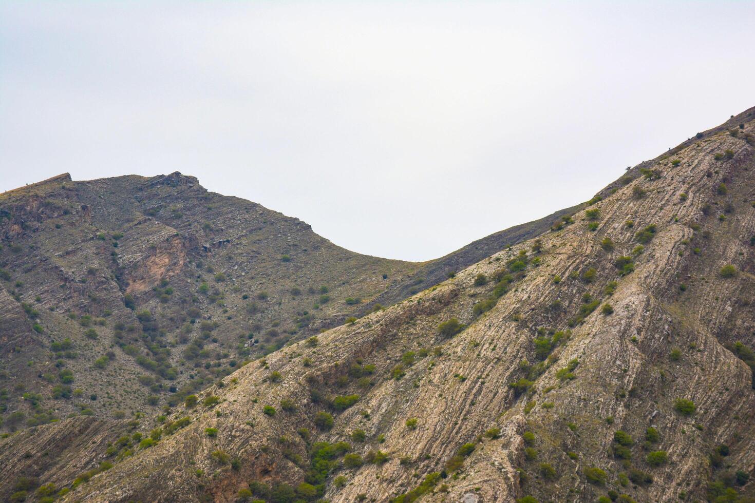 A plane flying over a mountain with a green tree photo