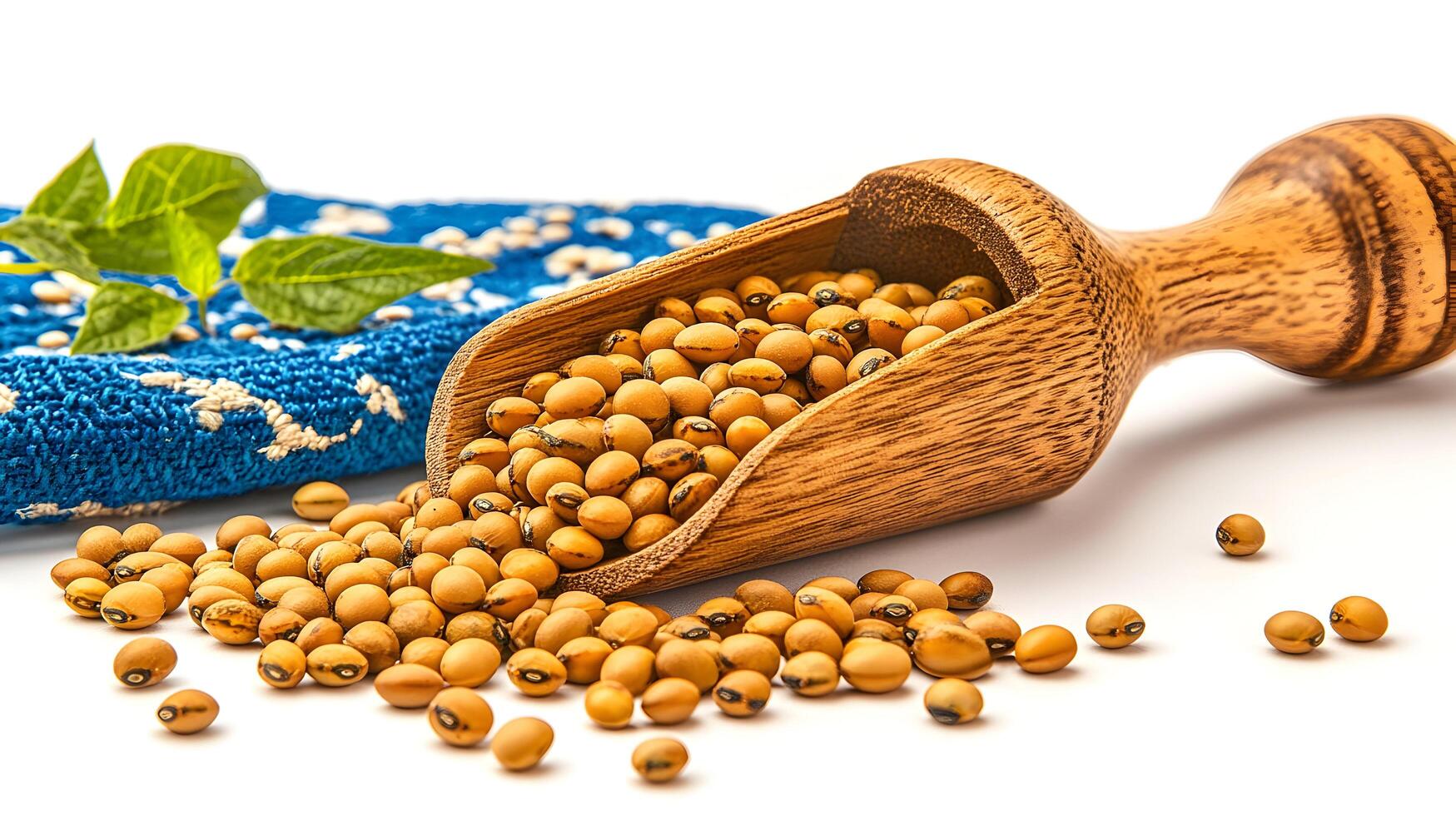 Canola oil benefits photo