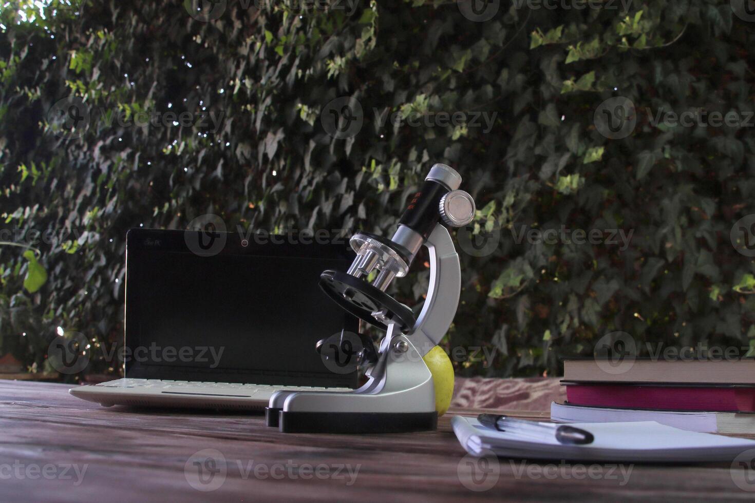 Scientific research for a school project photo