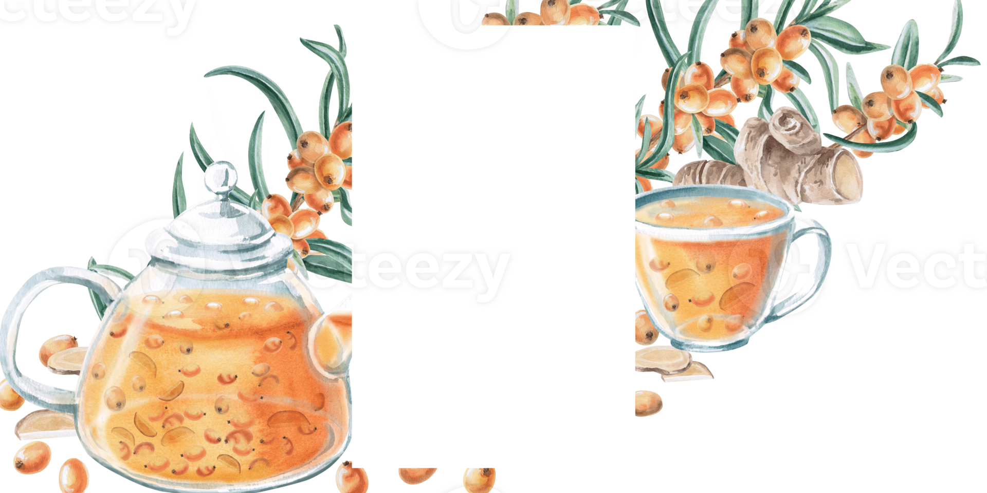 Rectangular frame of ripe sea buckthorn branches, teapot, ginger root. Isolated watercolor illustration for photo frames, tea menu, signs, postcards, drink labels, poster printing. png