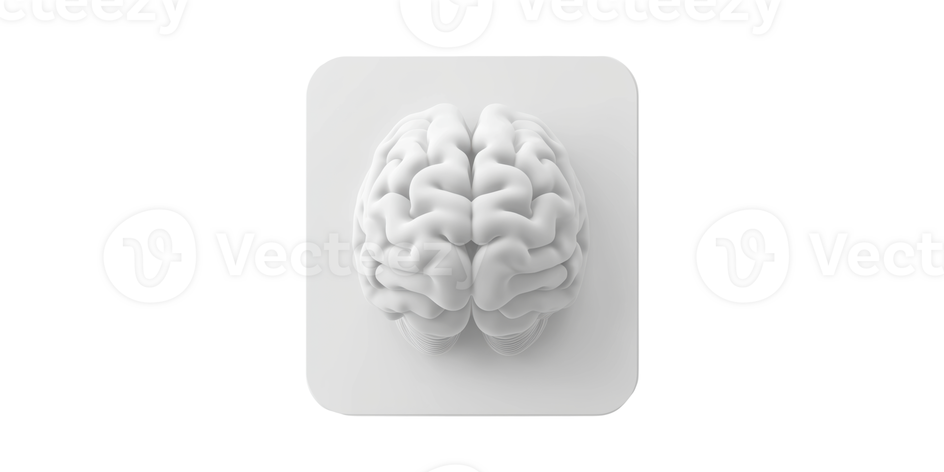 3D Brain Model Square Platform. Symbolizes Intelligence And Cognitive Function Isolated On Transparent Background png