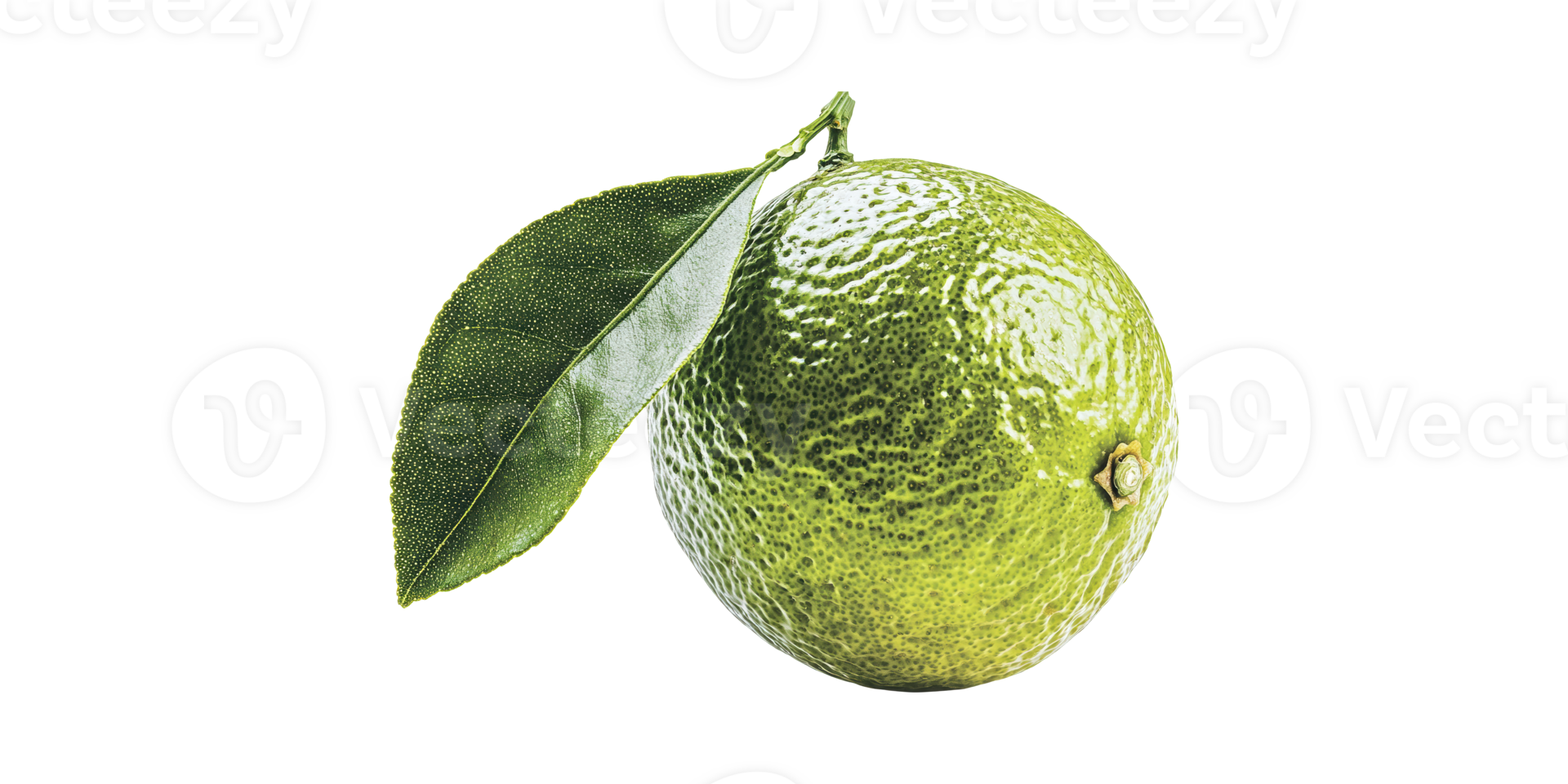 Fresh Green Lime With Leaf. Citrus Fruit Symbolizing Freshness And Vitamin C Isolated On Transparent Background png