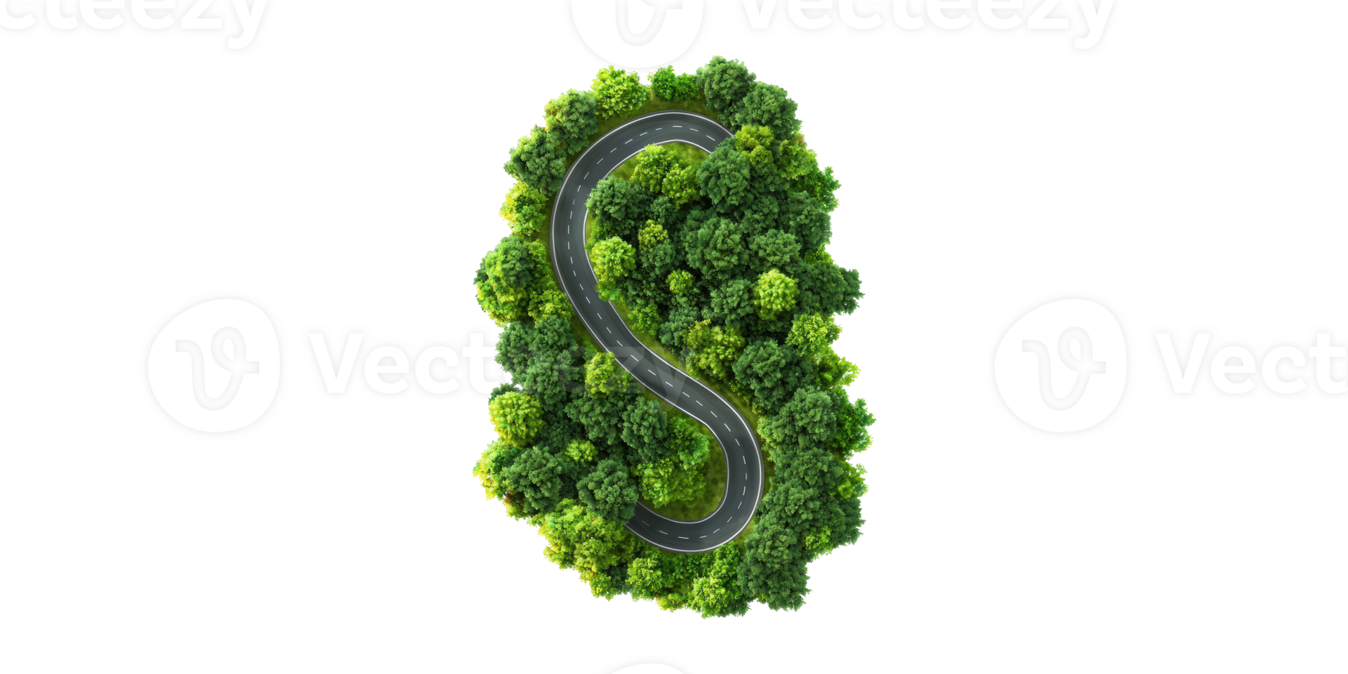 Winding Road Through Lush Green Forest. Nature And Travel Concept Isolated On Transparent Background png