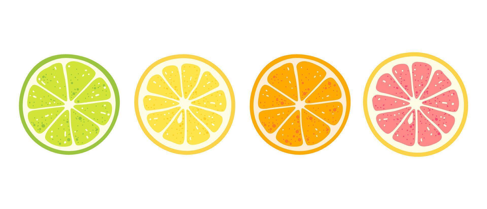 Citrus fruits slices set of lime, lemon, orange and grapefruit vector