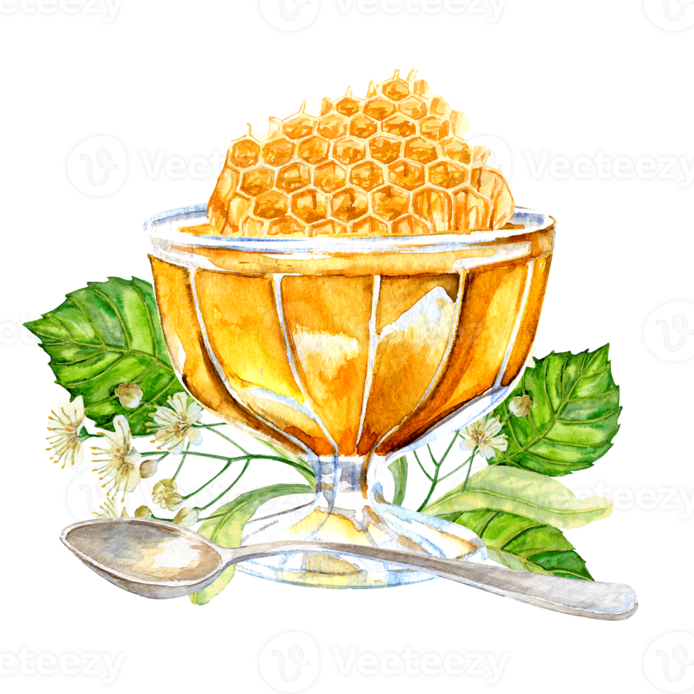 hand-painted honeycombs in a vase with honey, a teaspoon and lime tree flowers nearby png