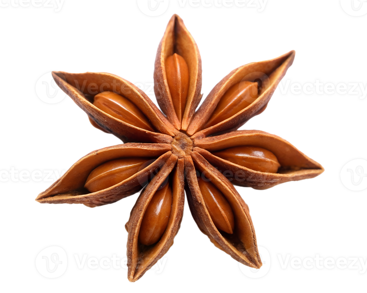 Stunning star anise spice pod showcasing its intricate natural structure and aromatic seeds, perfect for culinary and design projects png
