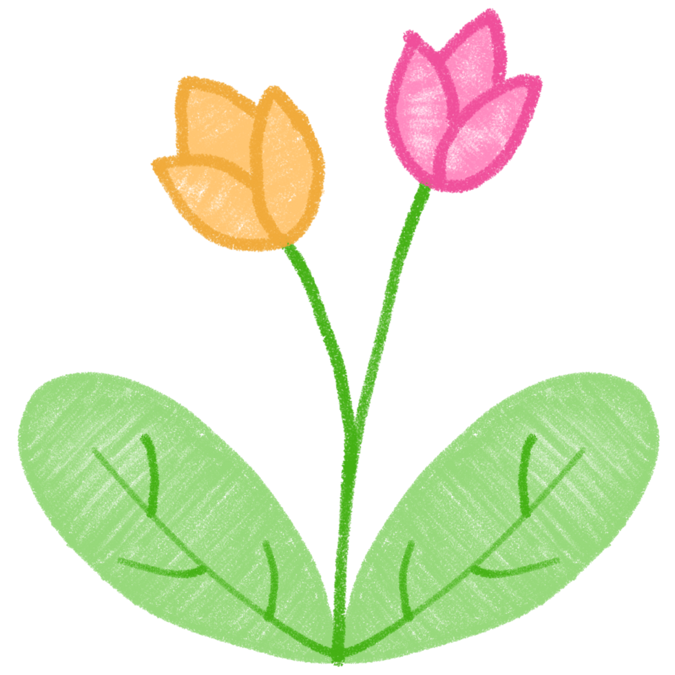 A flower with leaves and two pink flowers png