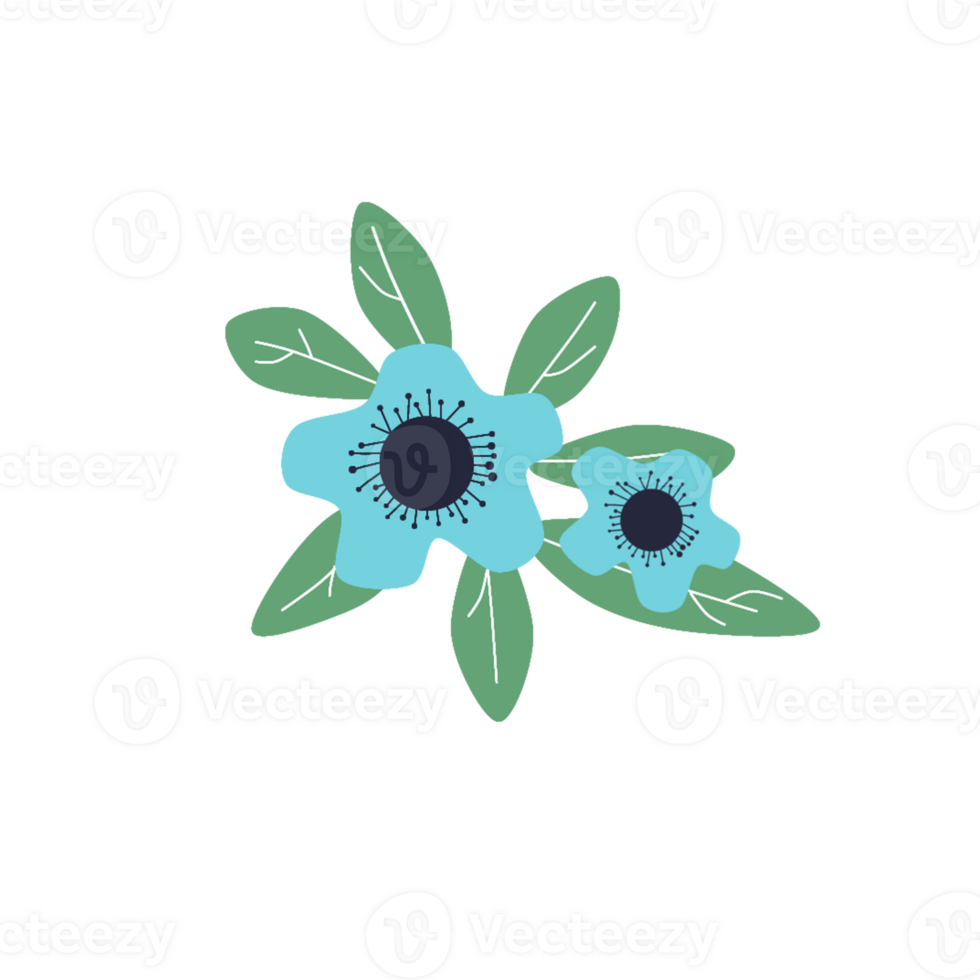 Spring Beauty Flower png