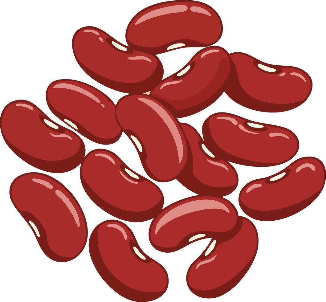 Red kidney beans illustration with glossy surface and natural kidney shape for food and cooking designs vector