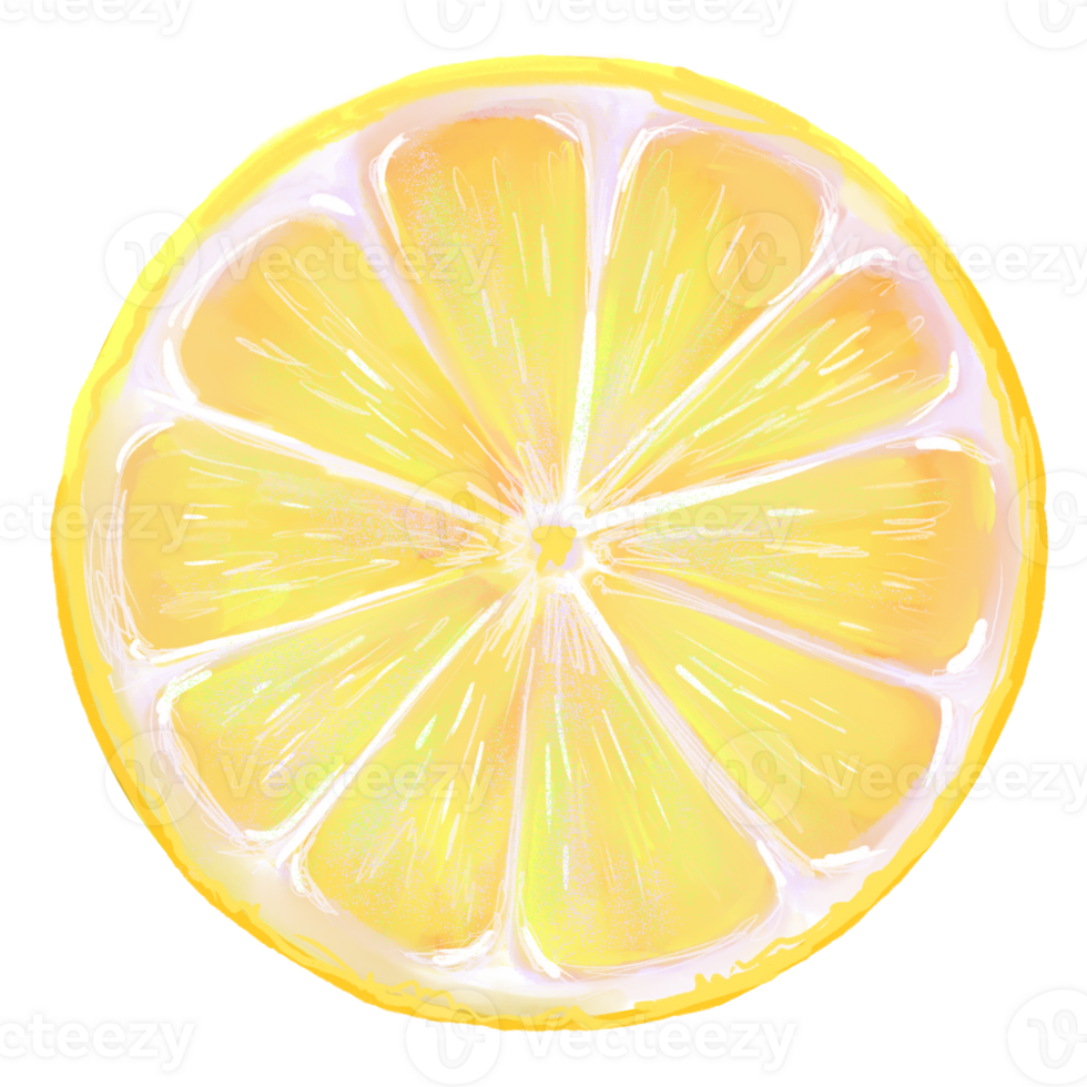 Watercolor style illustration with a cut round piece of lemon. Citrus fruits are perfect for food packaging, summer design, kitchen decor, recipe book, organic branding png