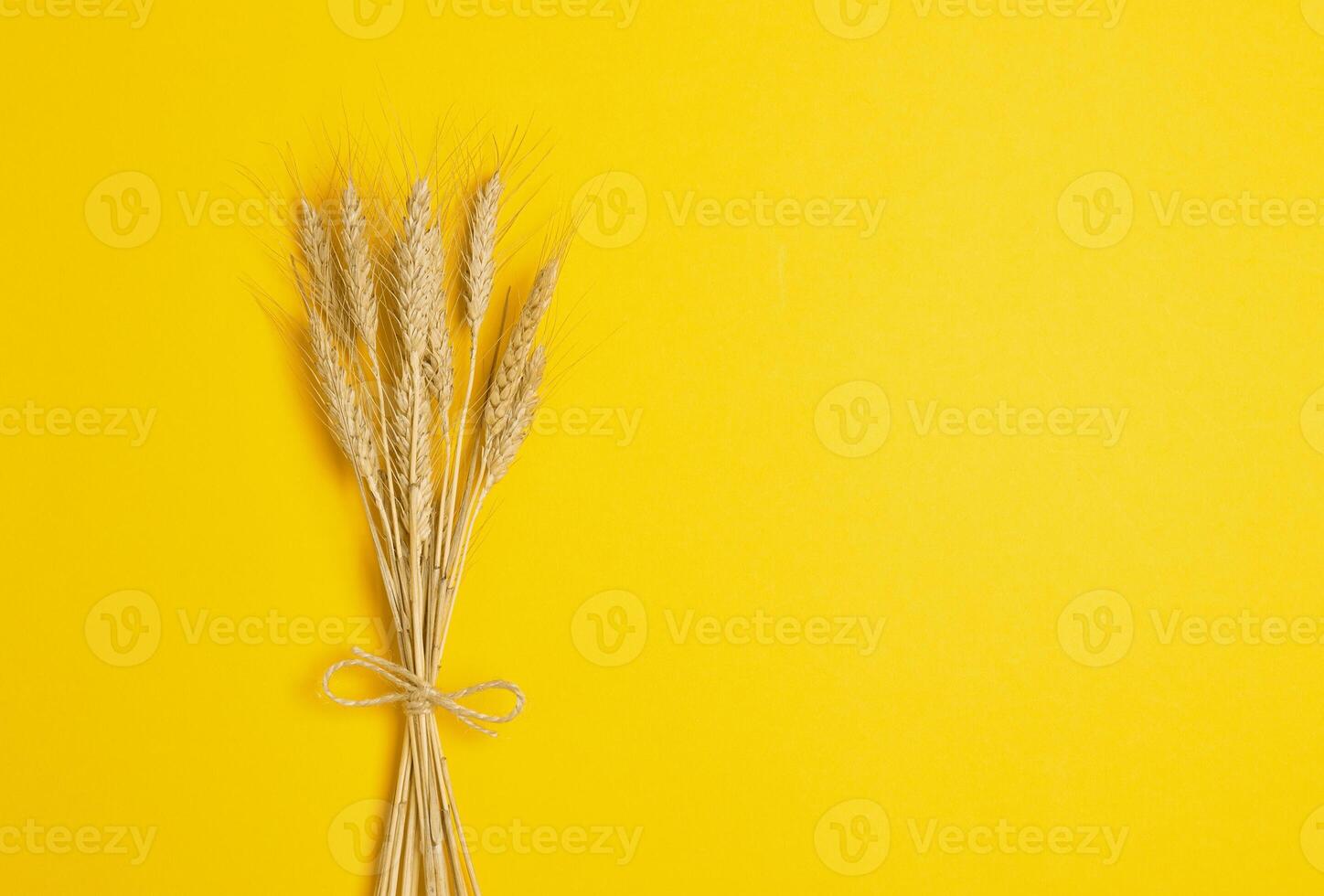 Ears of wheat on a yellow photo