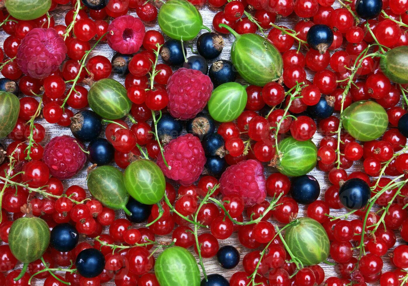Mixed Berries background closeup photo
