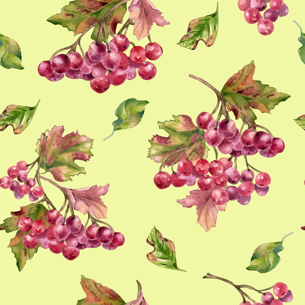Watercolor grapes pattern design vector