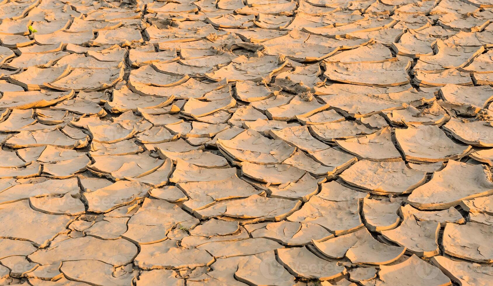Drought land - Greenhouse effect and global warming photo