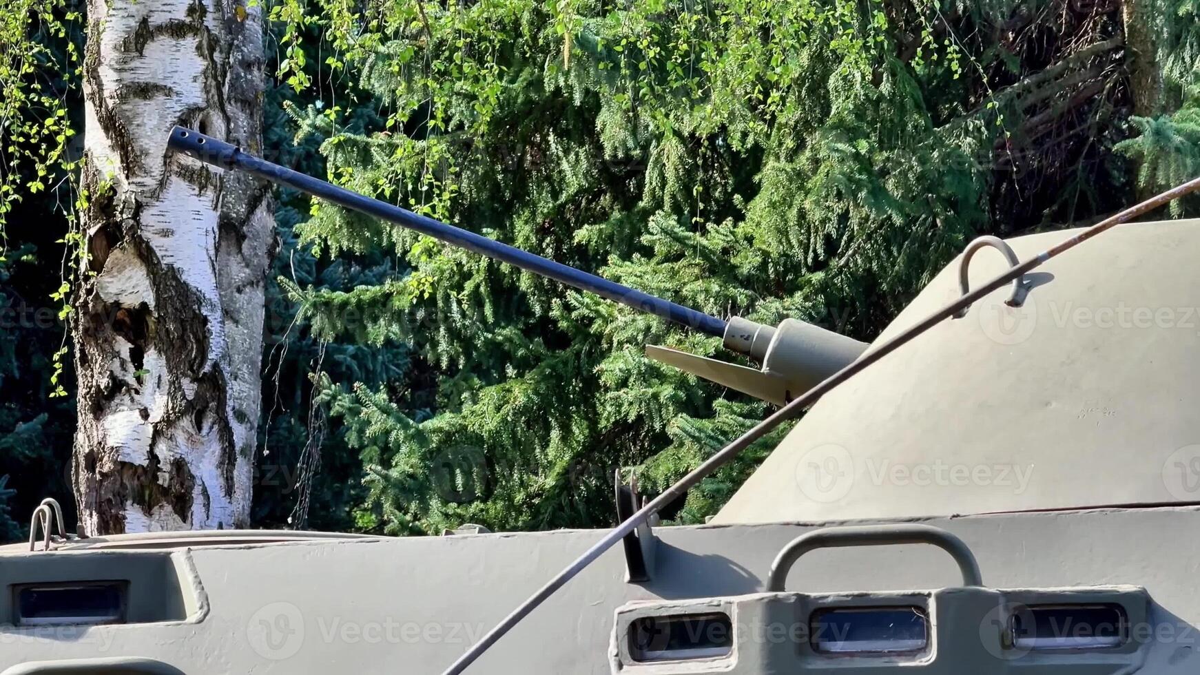 Closeup view of a military tank nestled amidst lush greenery, emphasizing its unique features and design details photo