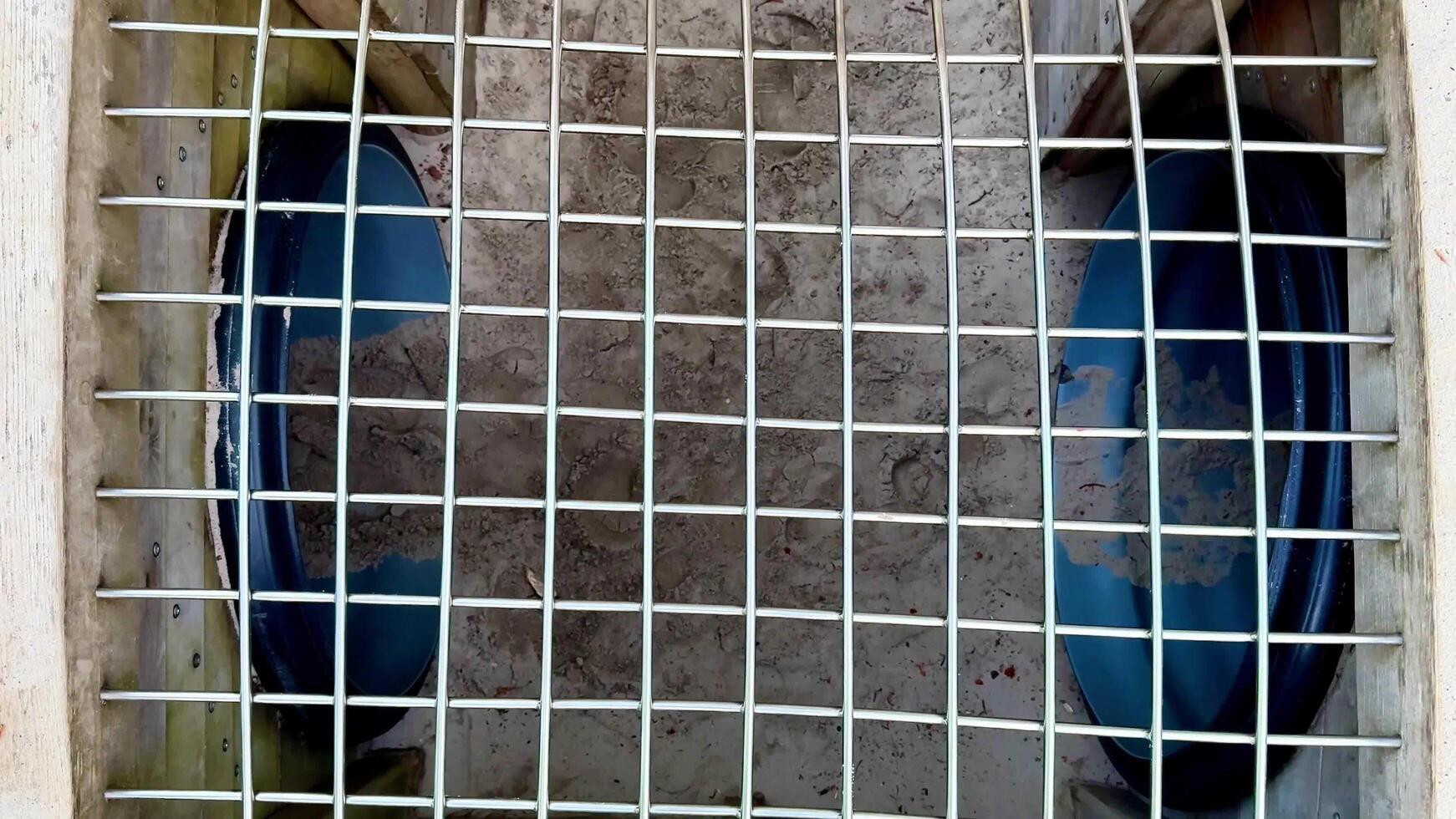 Closeups of a metal grid showcase two blue bowls and objects photo