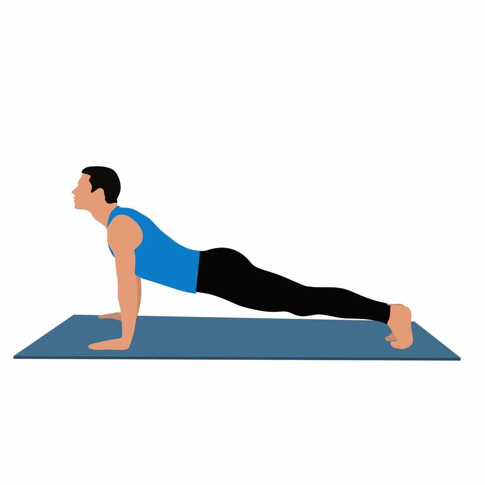 Practicing Various Yoga Poses Including Warrior, Tree, Cobra, Lotus and More vector